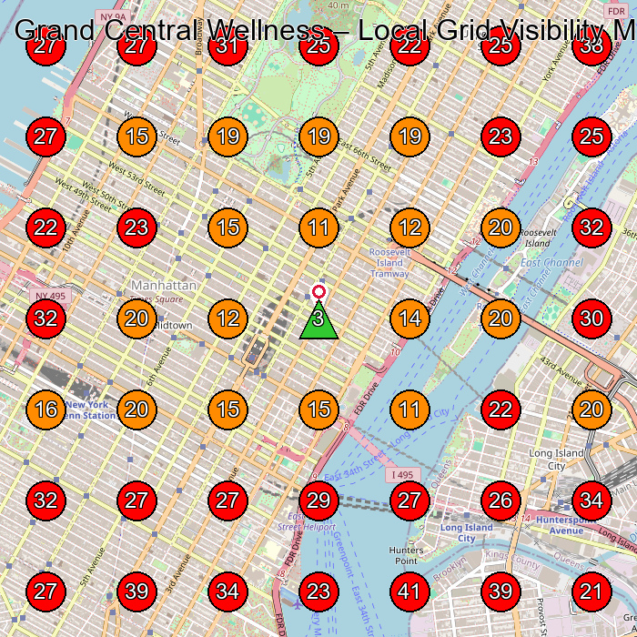 Grand Central Wellness GeoGrid visibility map for Acupuncture Clinic in New York